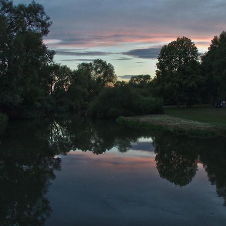 Froschkoenig Mit Teichblick Apartment Trendelburg Bagian luar foto