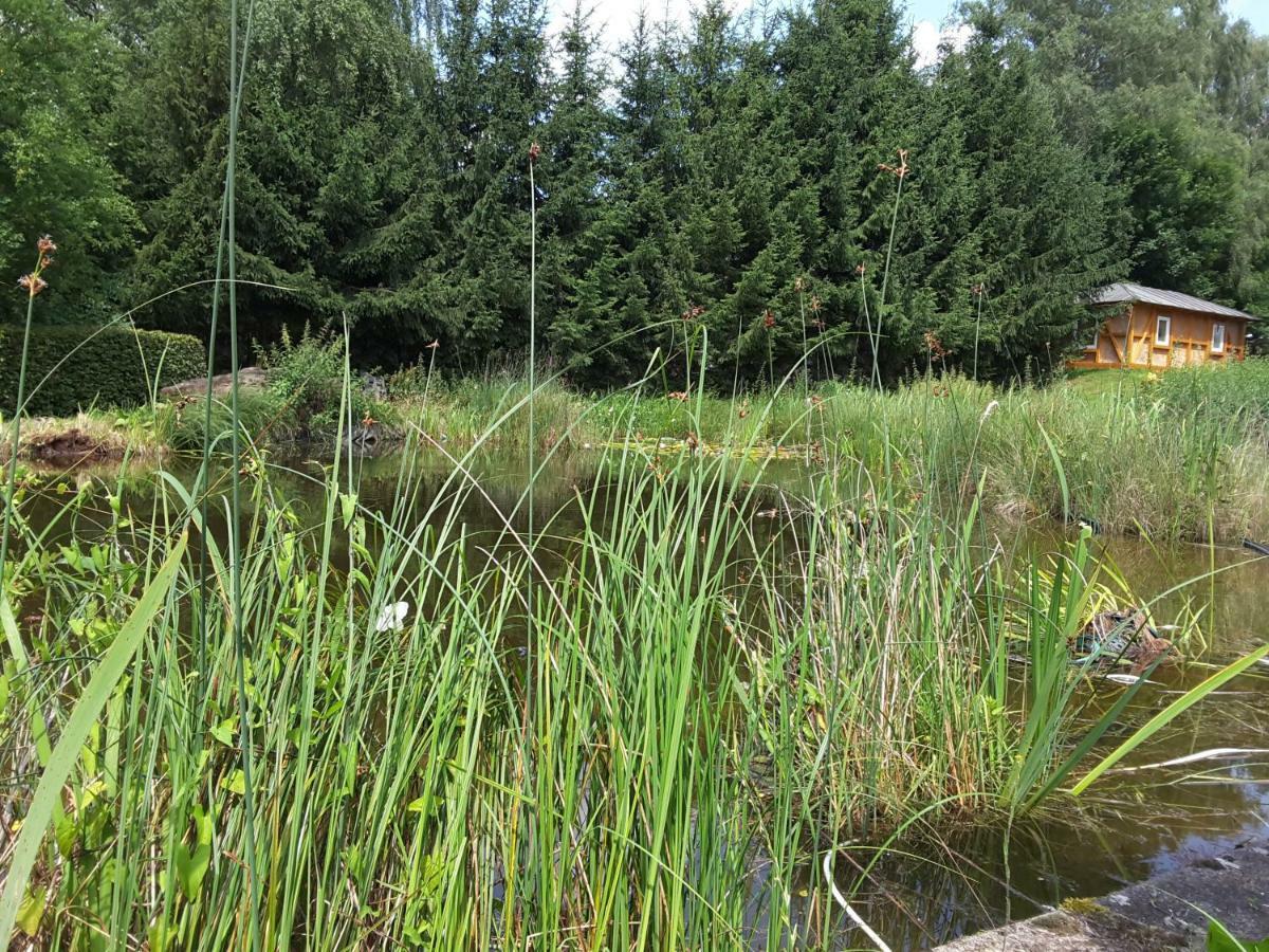Froschkoenig Mit Teichblick Apartment Trendelburg Bagian luar foto